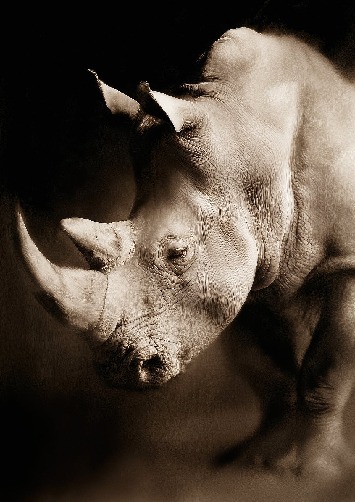 The Last Guardian – A0 Framed Canvas