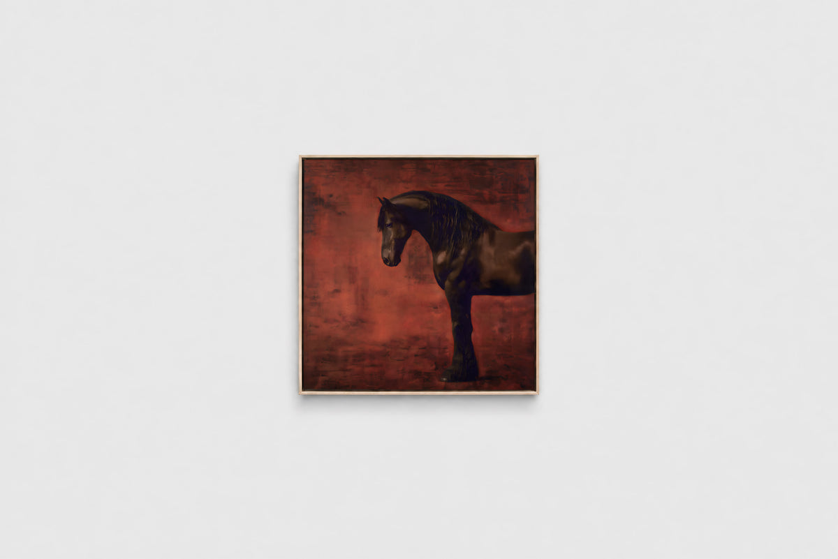 The Dark Horse – Square 60cm Framed Canvas