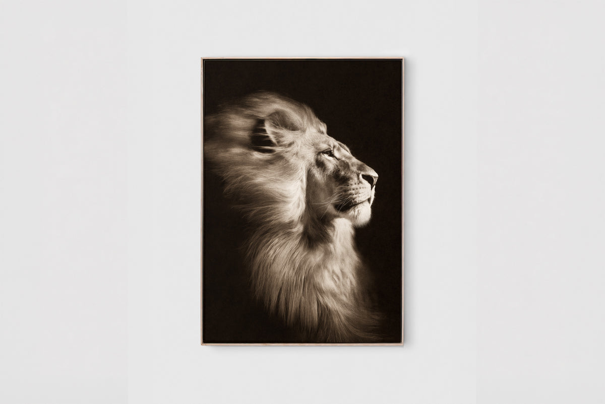 The Sovereign – A0 Framed Canvas