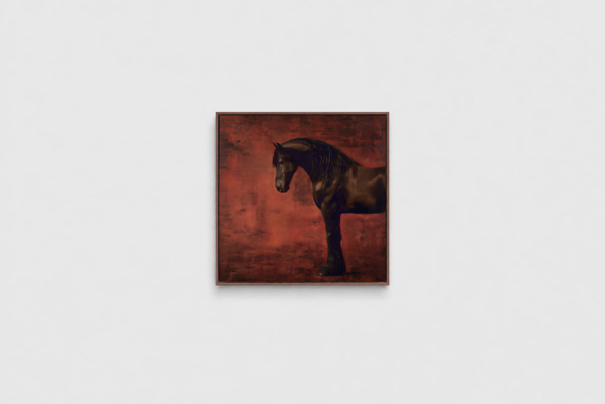 The Dark Horse –  Square 60cm Framed Canvas