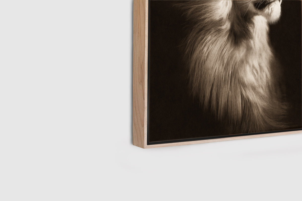 The Sovereign – A0 Framed Canvas
